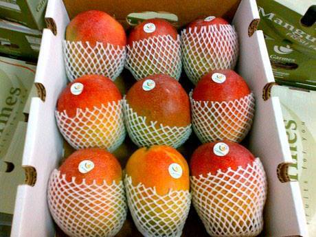 Aspersoras y Tractores S.A. de C.V._Foto 03